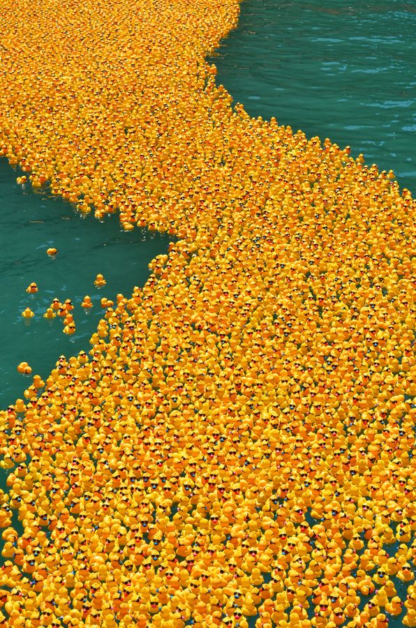 ee538dfc33583684fe6fe0290a5cb1e0