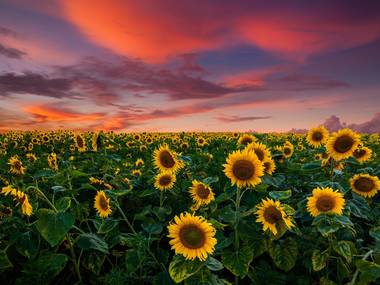 M & D Farm and garden center 